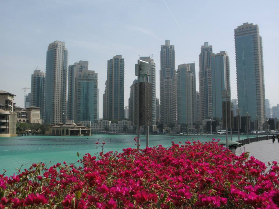 Dubai city                 